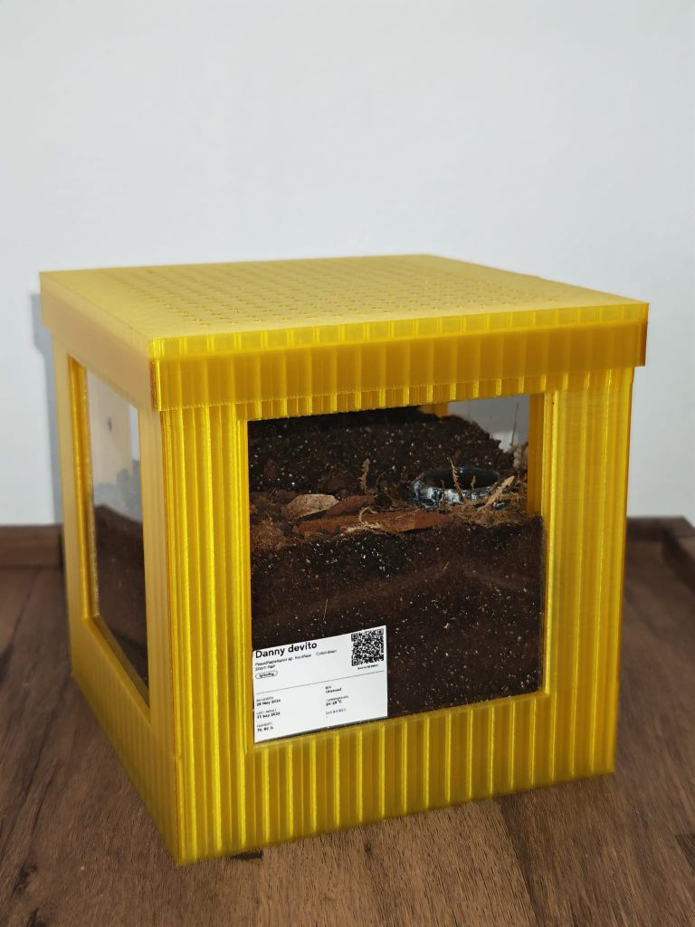 Medium Terrestrial Cube