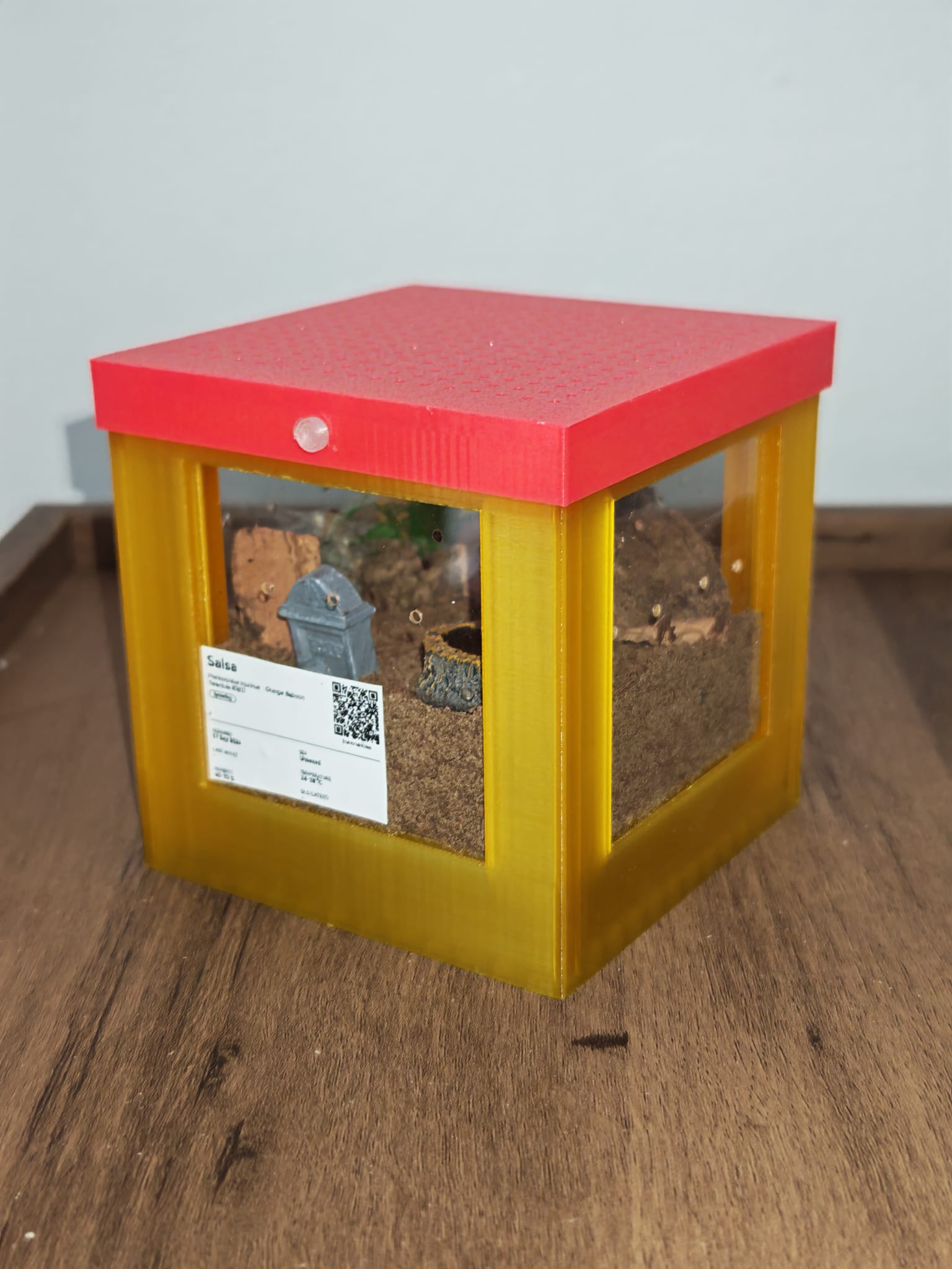 Small Terrestrial Cube