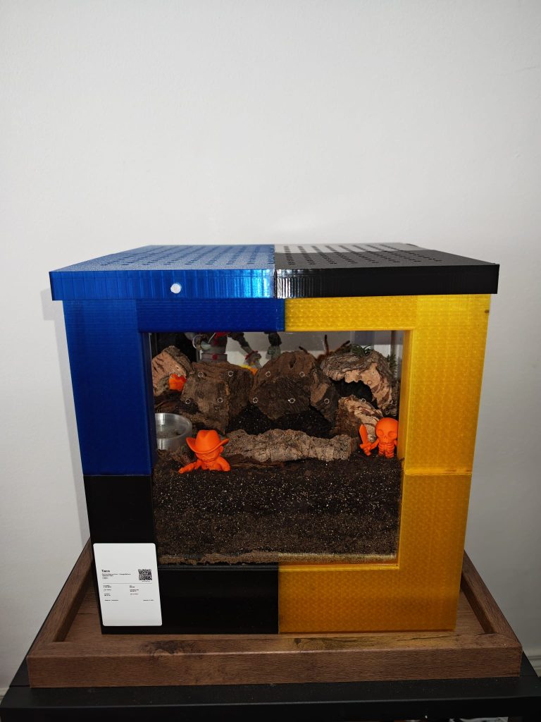 Spiderpig Enclosures X Large Terrestrial Cube